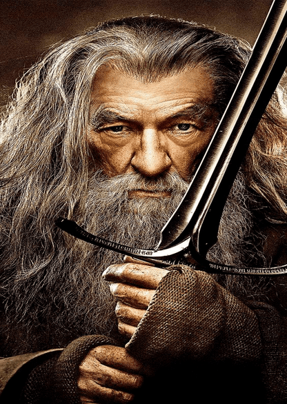 Gandalf Metal Poster Sb-91